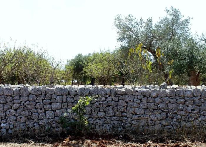 Masseria dell'800