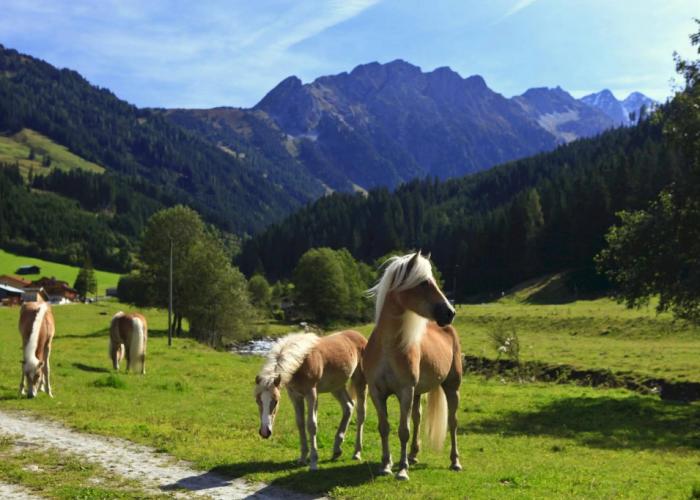 Traumhotel Alpina - Yoga & Ayurveda Adults only