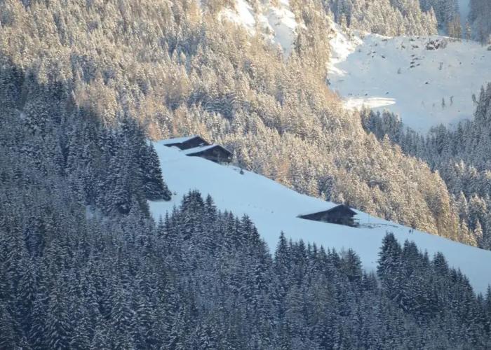 Hotel Wieser