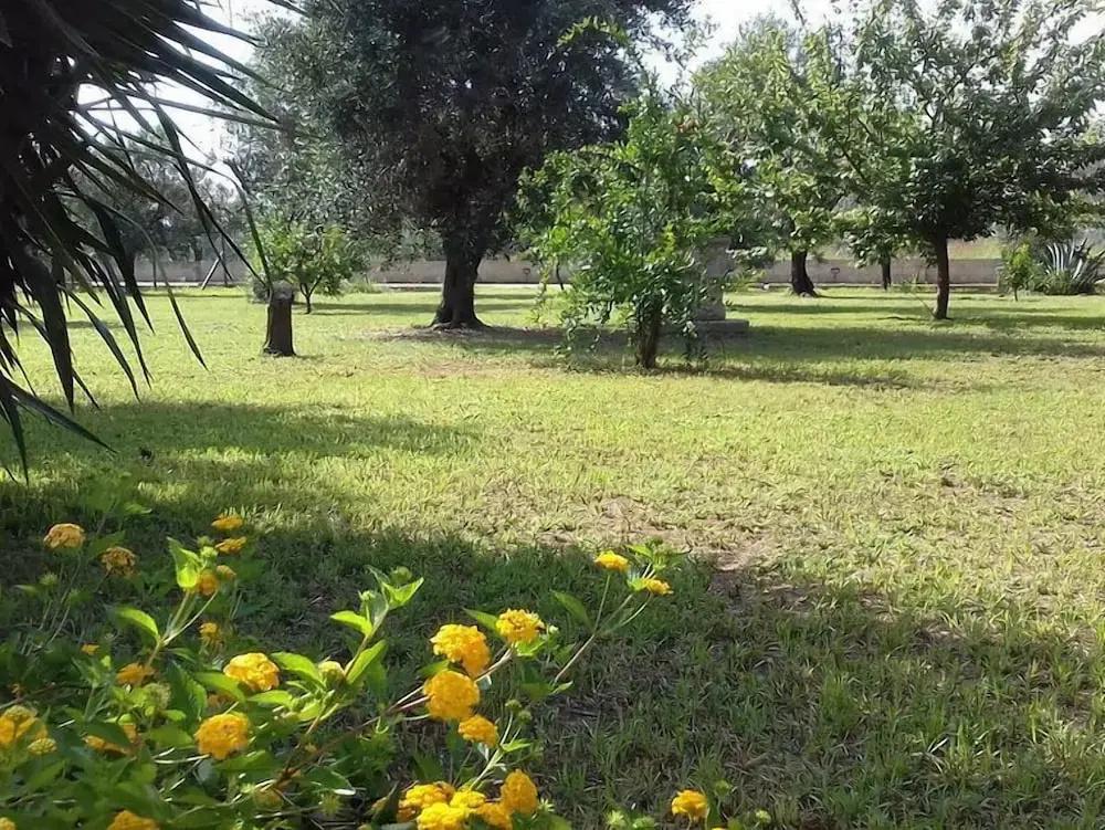 фото B&B Elda Salento