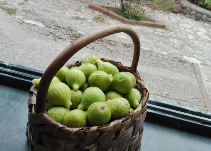 Agriturismo Mare e Monti