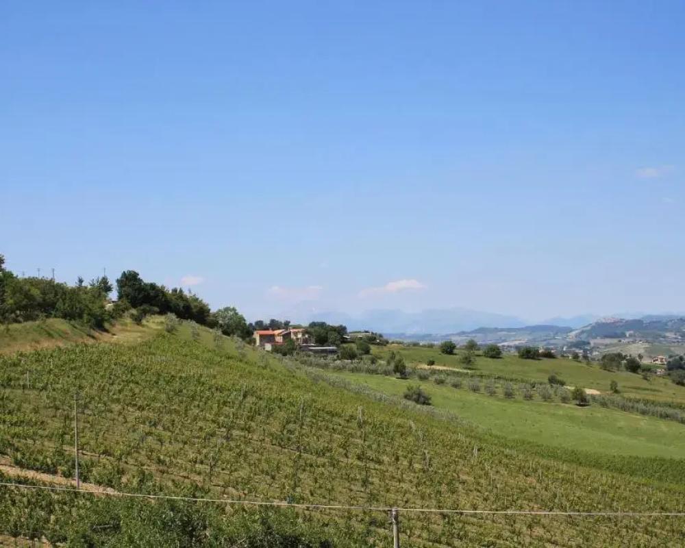 фото Dimora Rosso Piceno