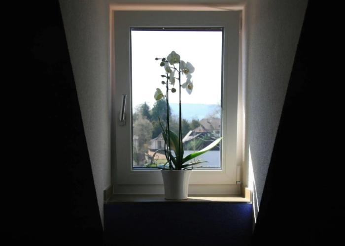 Hotel Eremitage