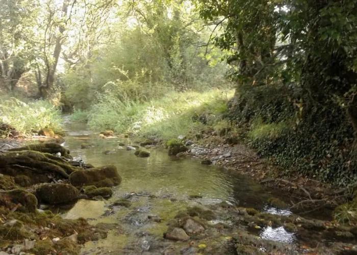 Wood Cabin by the River - for Nature Lovers
