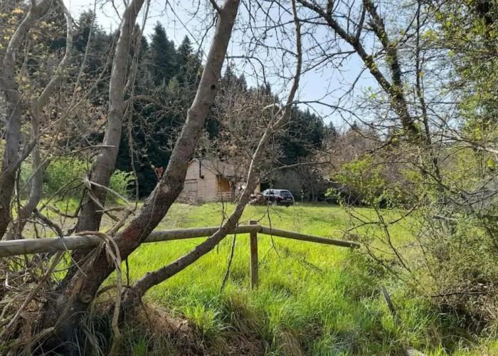 Wood Cabin by the River - for Nature Lovers