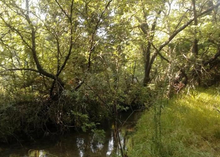 Wood Cabin by the River - for Nature Lovers