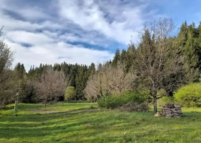 Wood Cabin by the River - for Nature Lovers