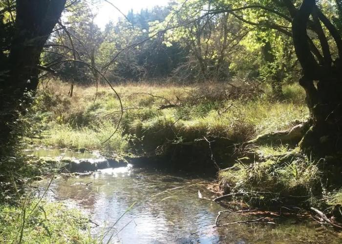Wood Cabin by the River - for Nature Lovers