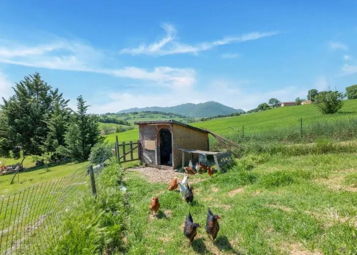 Belvilla by OYO La Casa del Verdicchio