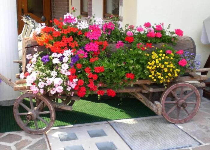 Park Hotel Arnica