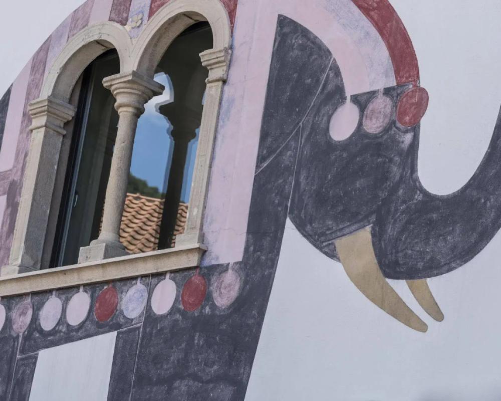 фото Elefant
