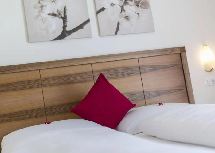 Hotel Elefant