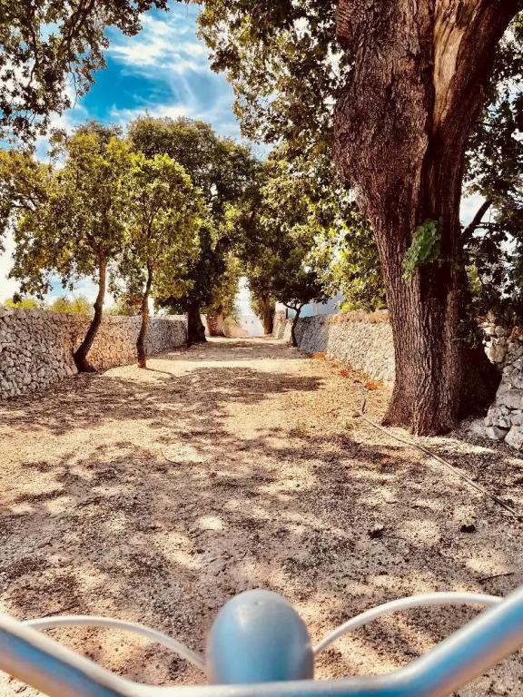 фото Masseria Ayroldi