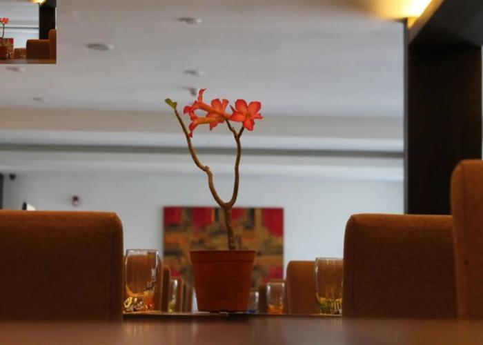 Top Star Hotel