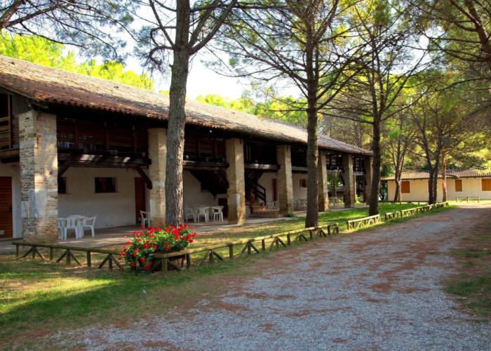 Belvedere Pineta Camping Village