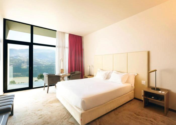 Douro Palace Hotel Resort and Spa