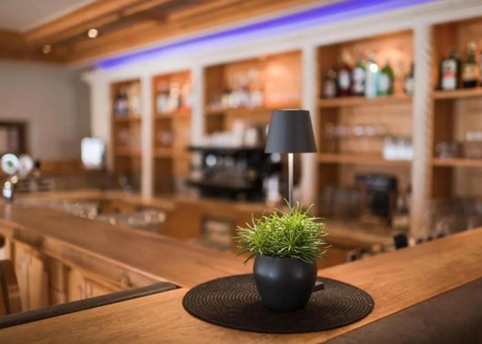 Hotel Viertler