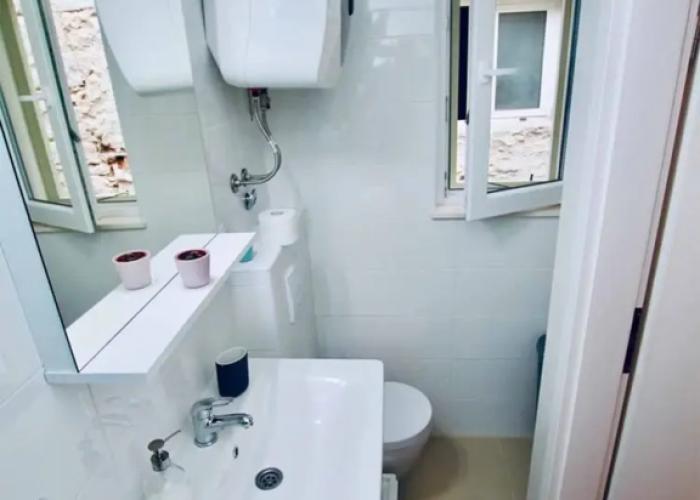 Dalmatian White Shell Apartment