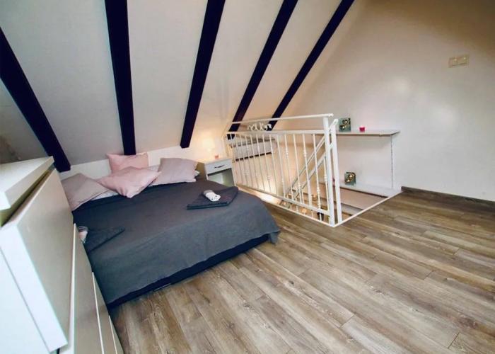 Dalmatian White Shell Apartment