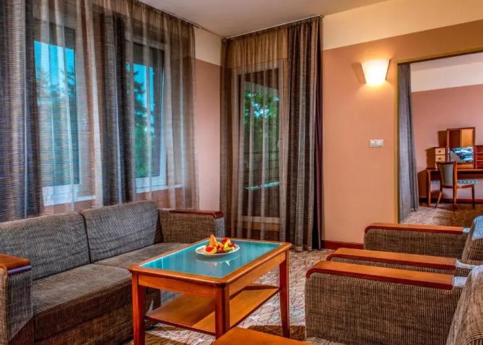 Dráva Hotel Thermal Resort