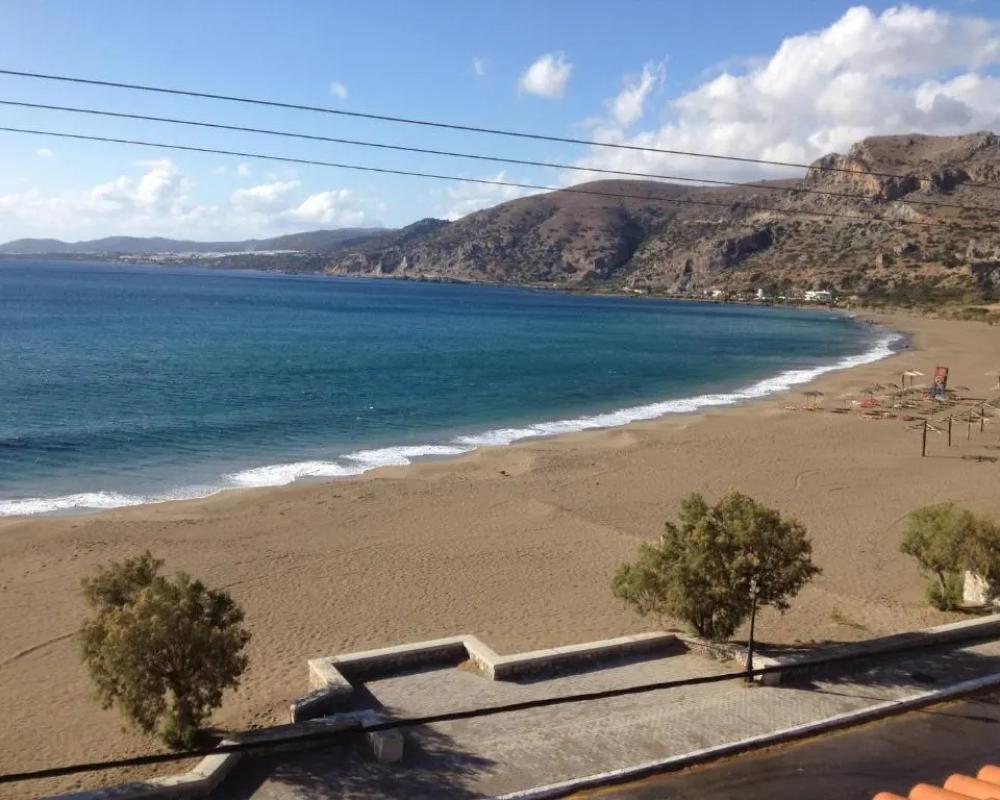 фото Pal Beach