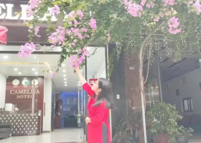 Camellia Hotel