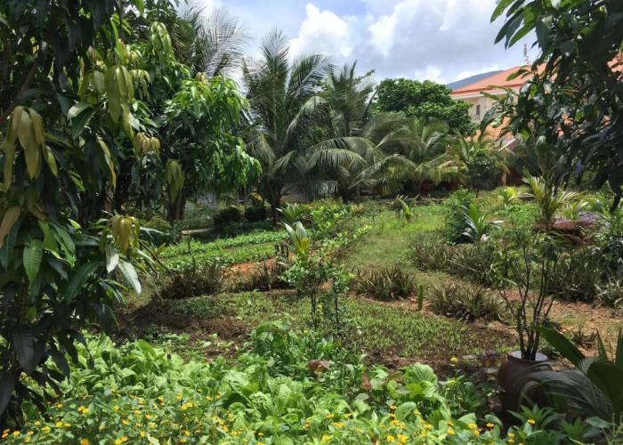 Tan Son Nhat Con Dao Resort