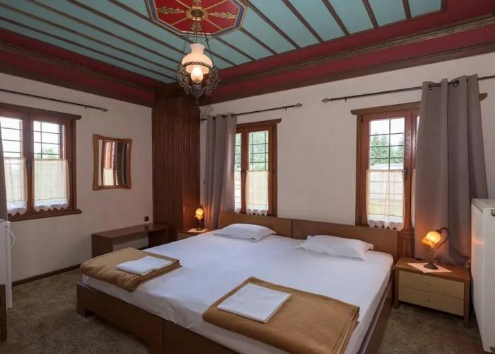 Hotel Vikos