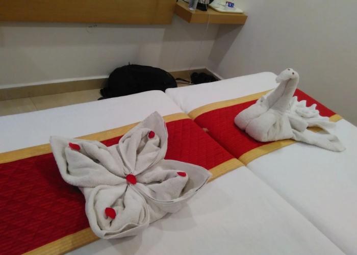 Clarks INN Hampi