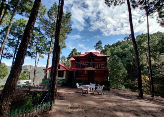 Pine Valley Resort - PVR Kasauli