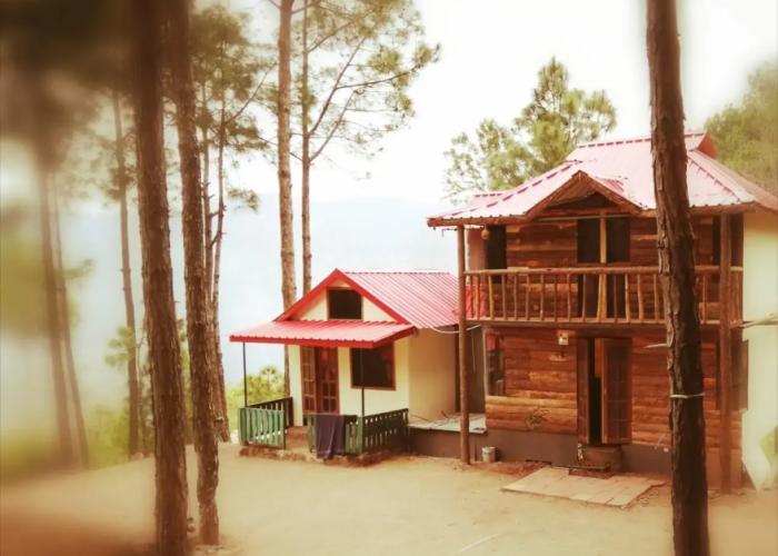 Pine Valley Resort - PVR Kasauli