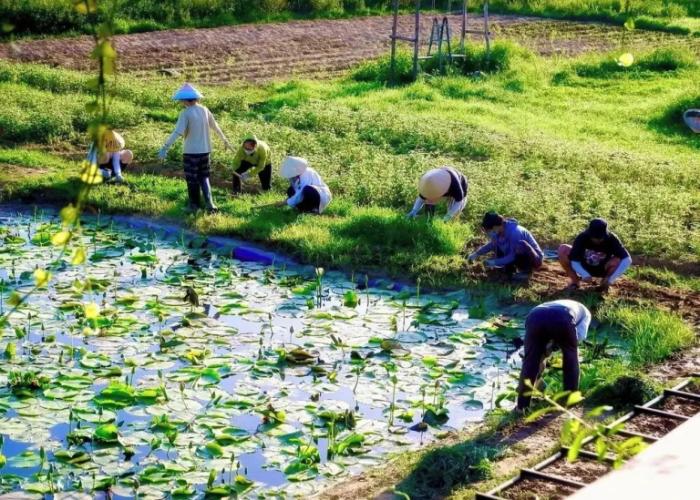 Thanh Chiem Village