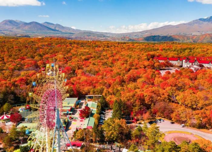 Hotel Green Plaza Karuizawa