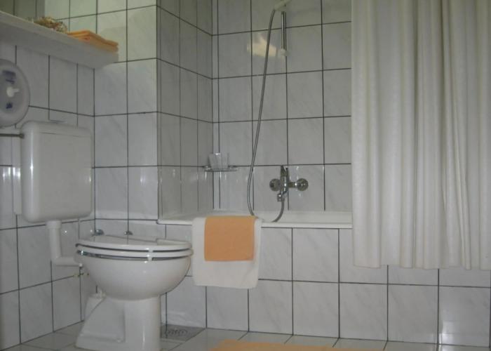 Alp Hotel