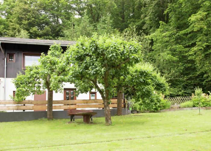 Apartment Near Willingen & Winterberg Ski Slopes
