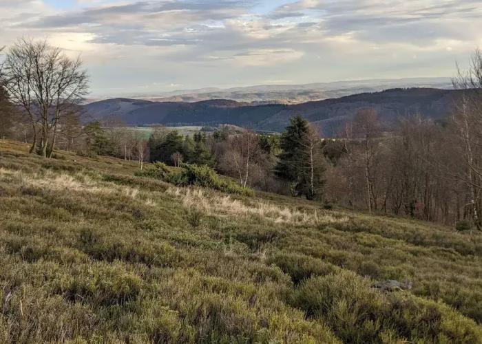 Apartment Between Winterberg and Willingen