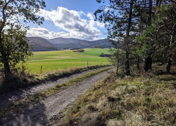 Apartment Between Winterberg and Willingen