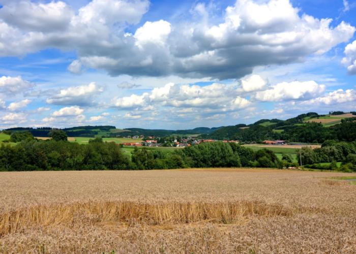 Apartment Between Winterberg and Willingen