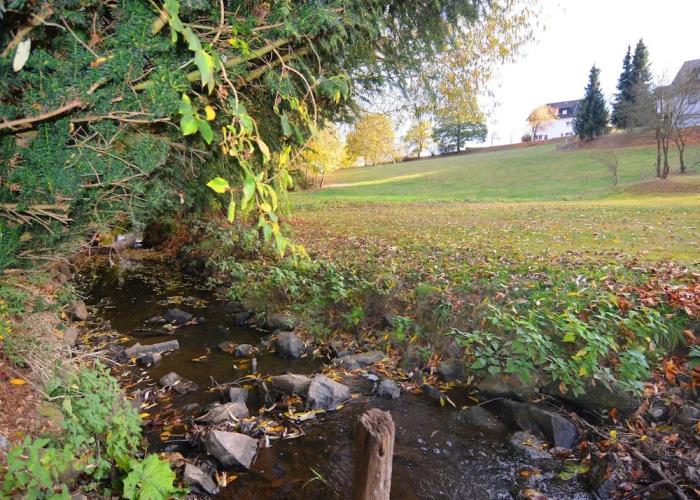 Holiday Home in Dreislar Near the ski Area