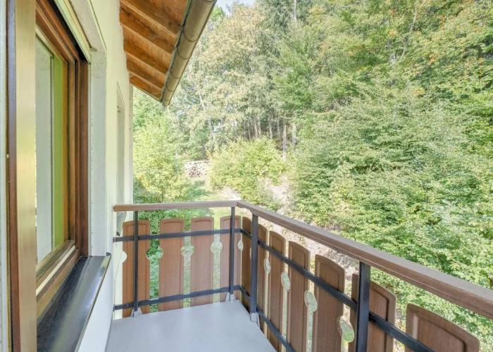 Large Holiday Apartment near Willingen with Private Garden & Terrace