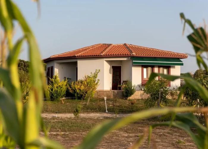 Karina Vineyard House