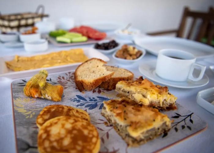 Karina Vineyard House