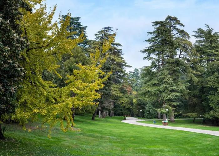 Parco Termale di Villa Dei Cedri
