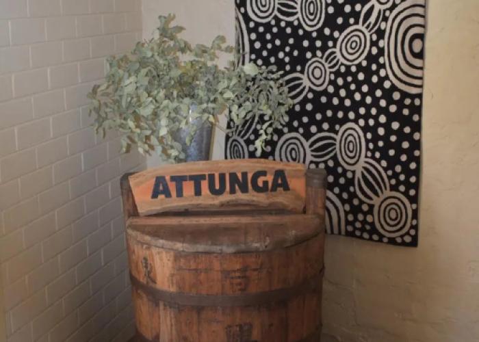 Attunga Alpine Lodge and Apartments