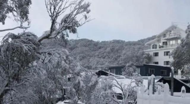 Attunga Alpine Lodge