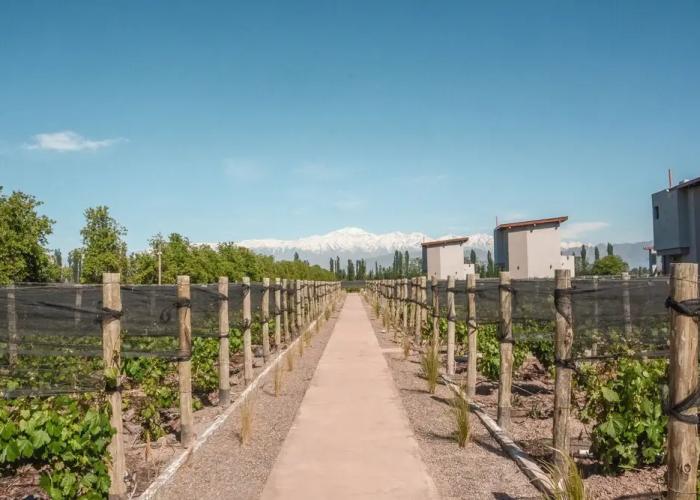 Agrelo Vines Lodge