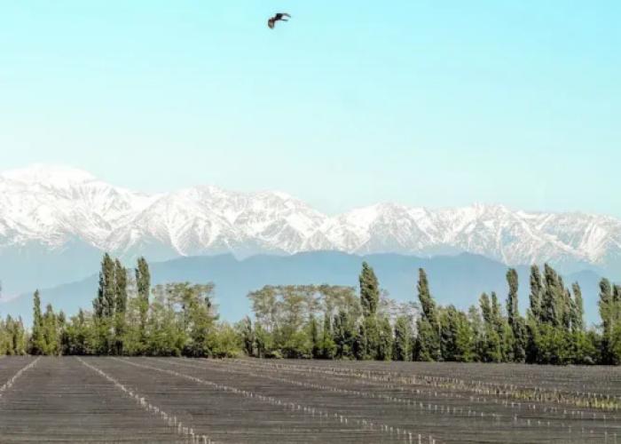 Agrelo Vines Lodge