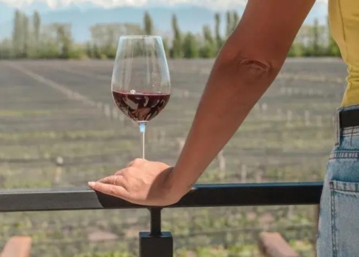 Agrelo Vines Lodge