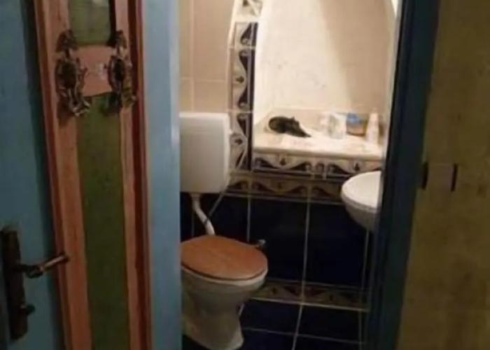 Buyuk Sinasos Konagi