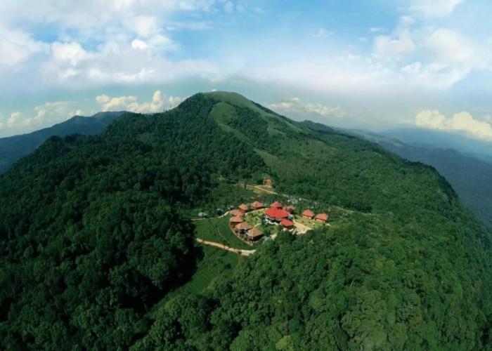 Wild Planet Resort